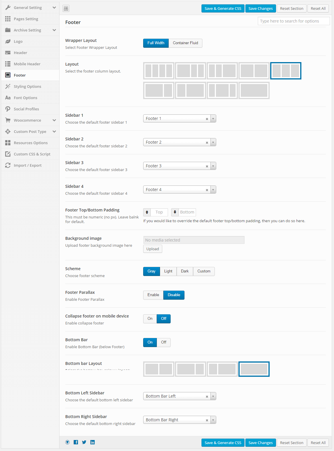 Theme Options Footer